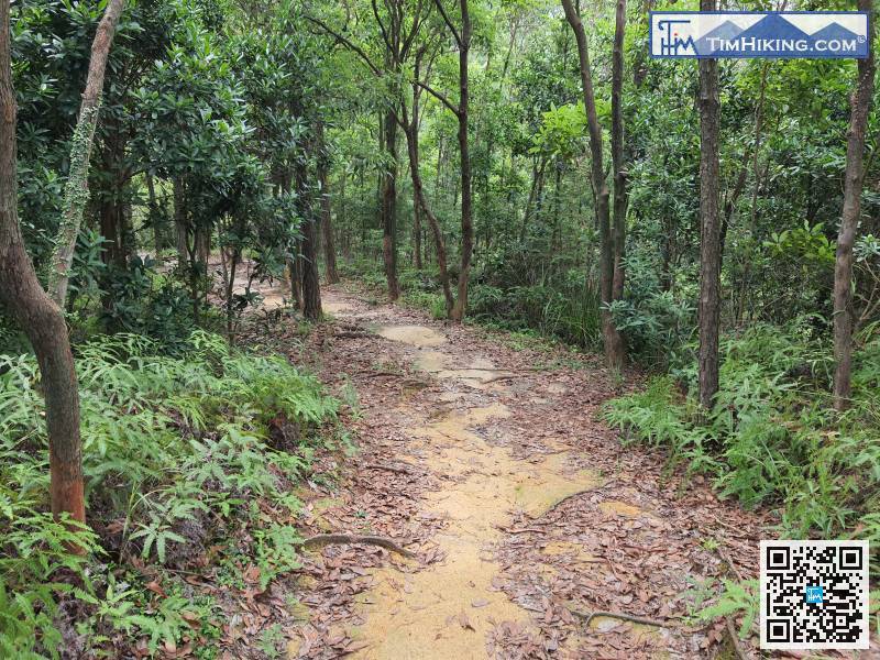 走過一段泥路山徑後，