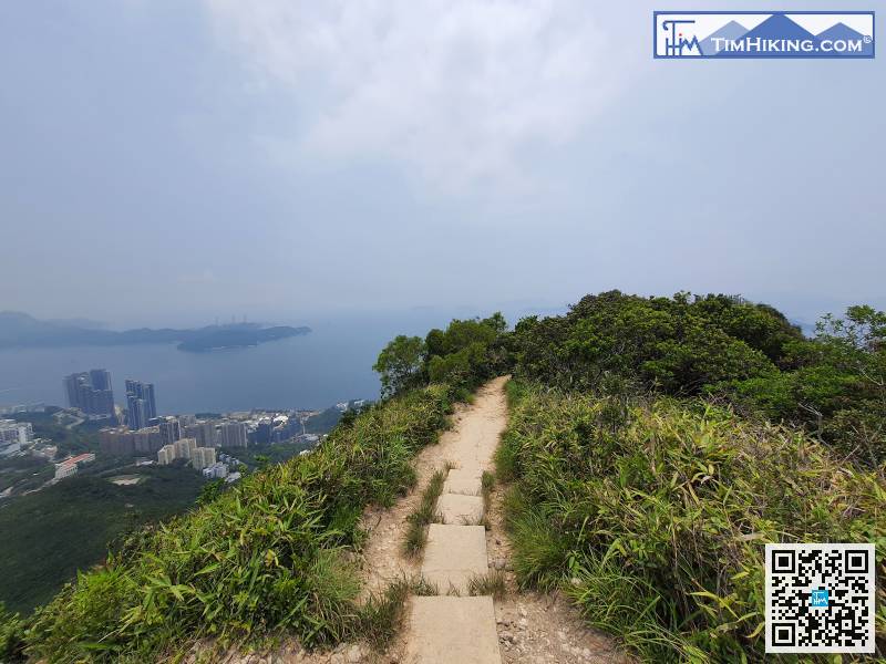 近山頂的山徑是較為平緩的，