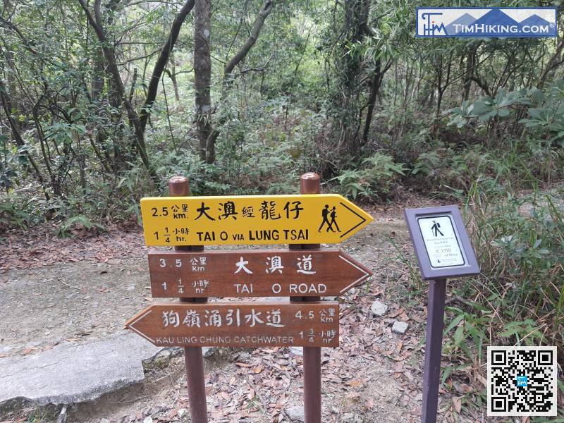 此段是跟羗山郊遊徑重疊的，標距柱會見到C1310，跟指示牌前往「大澳經龍仔」，經悟園一轉。