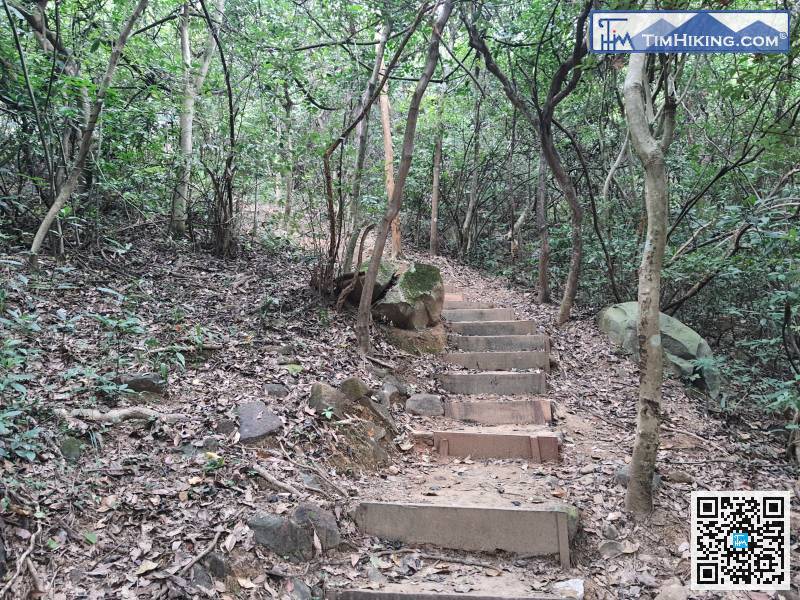 正式踏入山徑，沿路有泥路梯級，