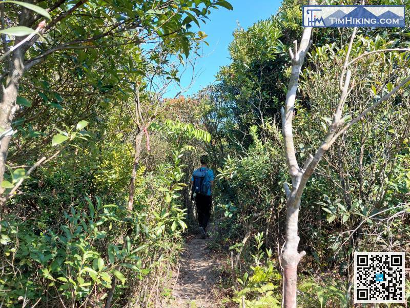 在分叉路口轉右開始落山，