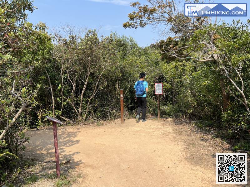 路線是前往雲枕山，所以會行入在標距柱H089旁的荒徑，