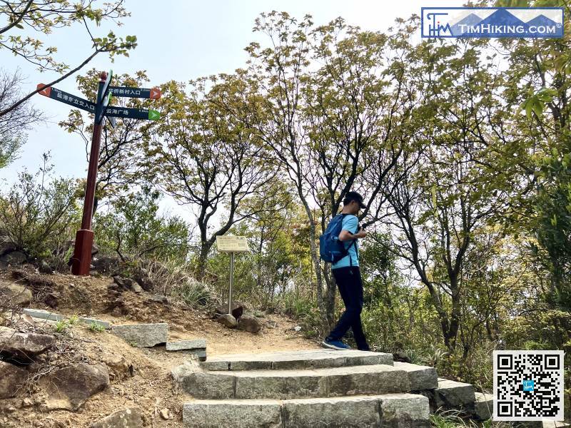 在此分叉路口,轉右往雲海廣場的方向繼續落山,