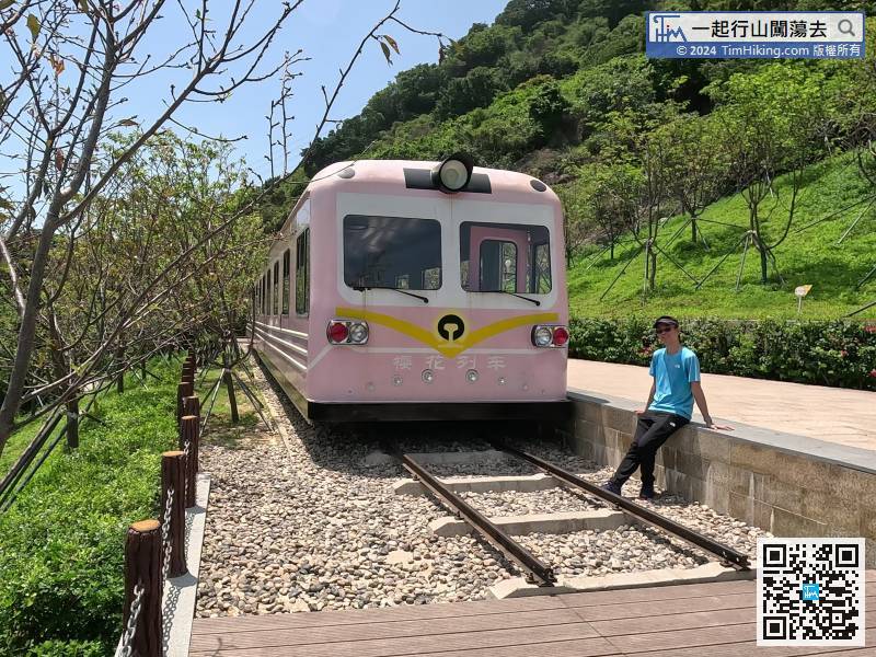 櫻花列車的外形似是一架山頂纜車，
