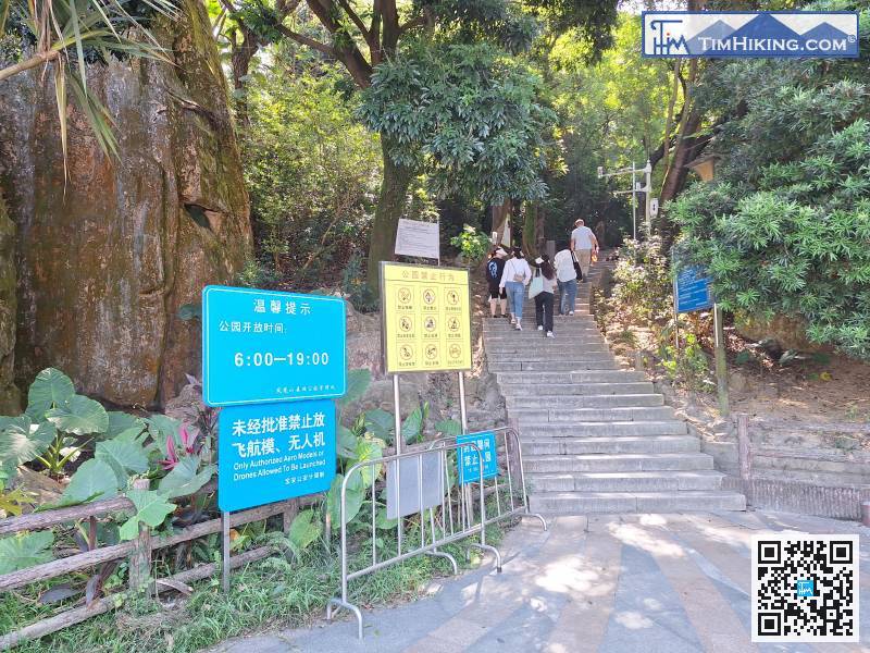 步福古道的登山口就在「鳳凰山」大石的右邊，全是梯級來的，是一條上風岩古廟的捷徑。