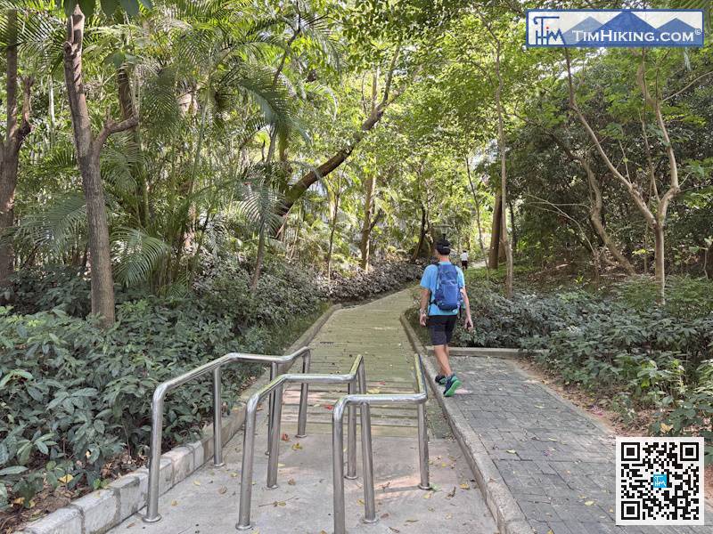 再次進入公園，