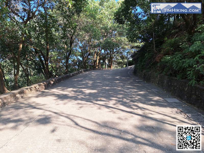 繼續沿馬路行，