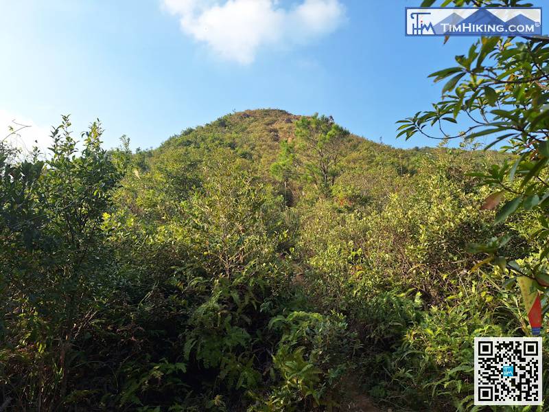再攀越多一個小山丘,