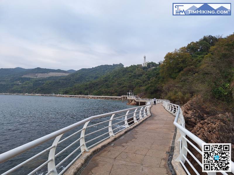 影完相便沿路折返，