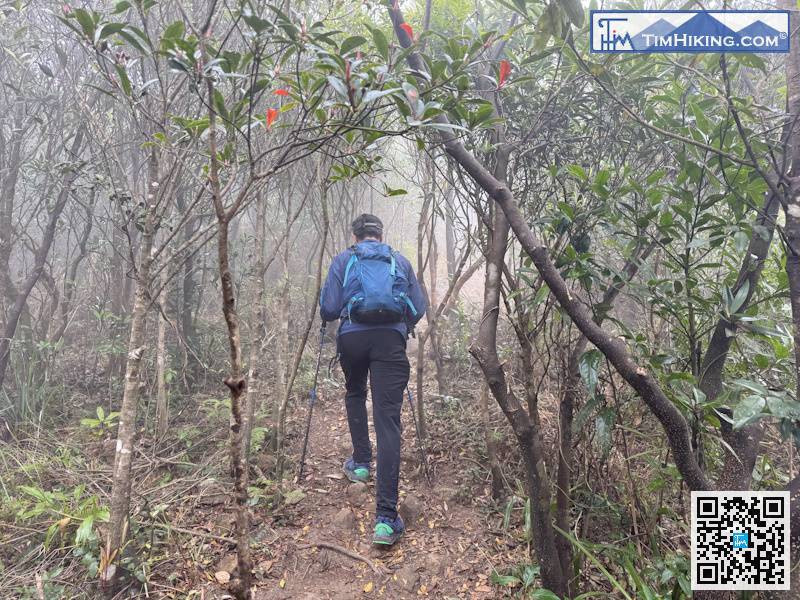 Since it is a resource patrol trail, not an unmanaged mountain trail, the road surface of the mountain trail is very clear and not blurry at all.
