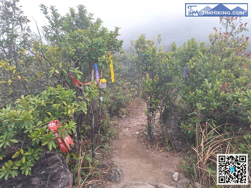 Next, it is the road to Sanjiaoshan.
