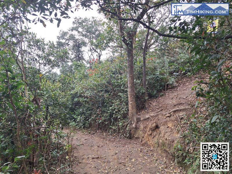 Don't worry about the barren trail on the way.