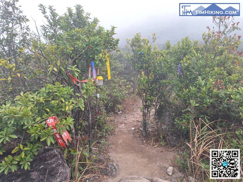 Next, it is the road to Sanjiaoshan.