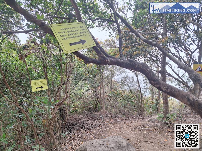 Don't follow the yellow sign when leaving,