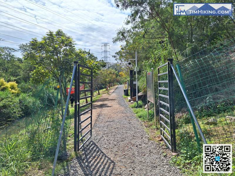 跨過大閘，進入九圍濕地公園，
