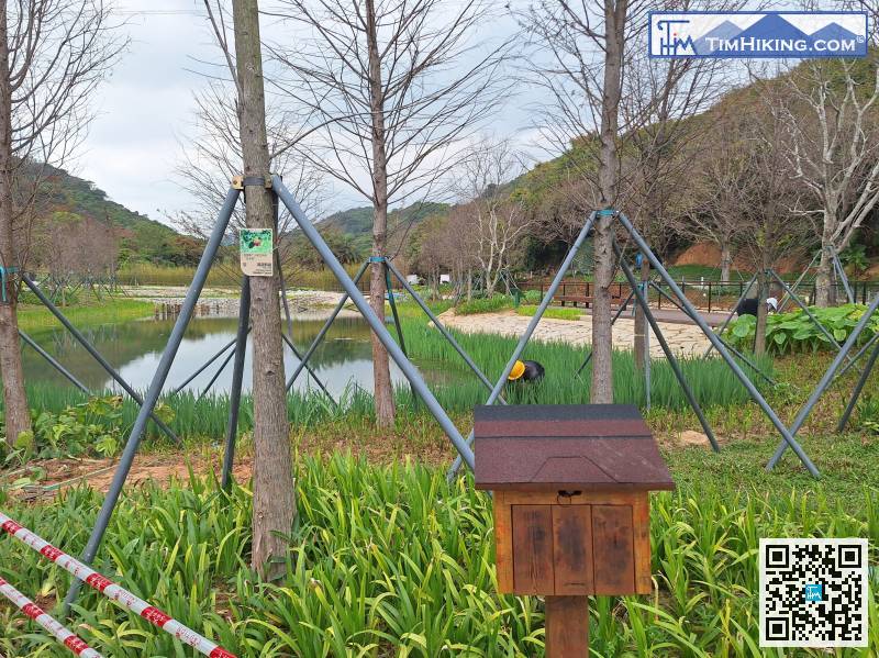 環湖公園好大，部份還在修葺中。