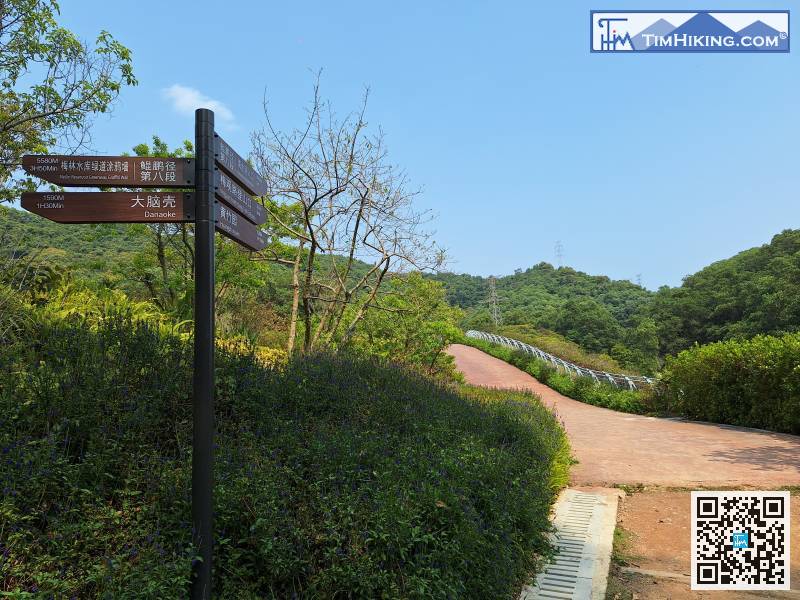 The bottom of the mountain trail is like a big park,