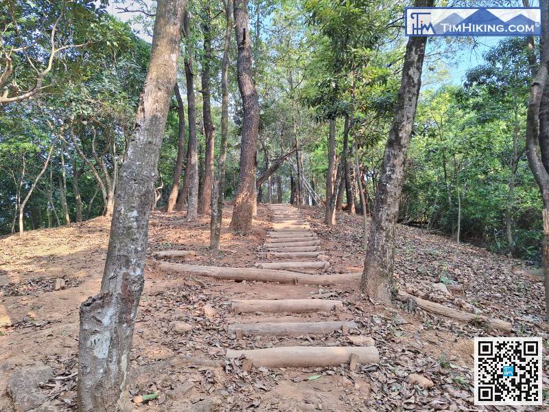First, there is a gentle uphill section.