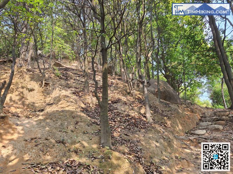 Not all hills need to be climbed to the top. Just go to the right if you see a big stone staircase!