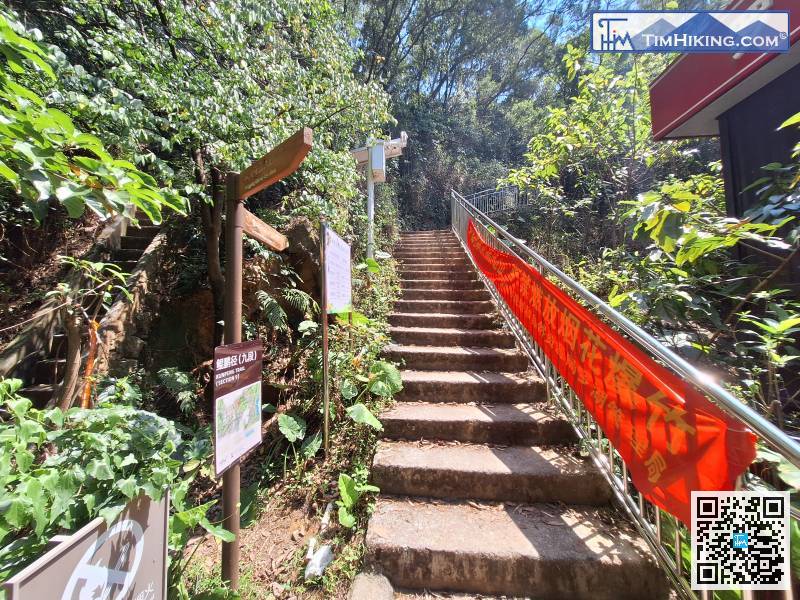 接下來，是圍嶺公園的山路，