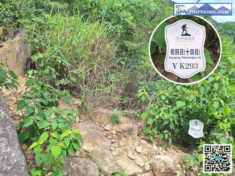 在大石坡板頂的右邊隱密處，便可找到標距柱YK293。