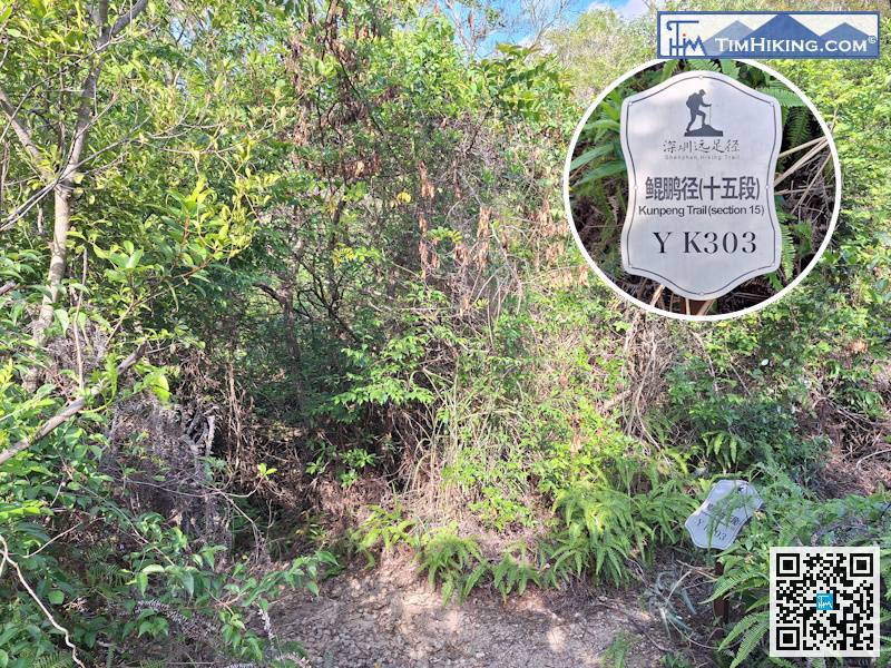 當見到標距柱YK303，