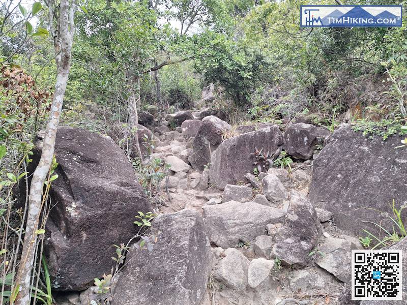 山徑有如小石河，