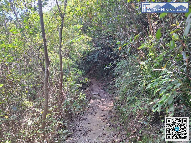 如是這不斷行，