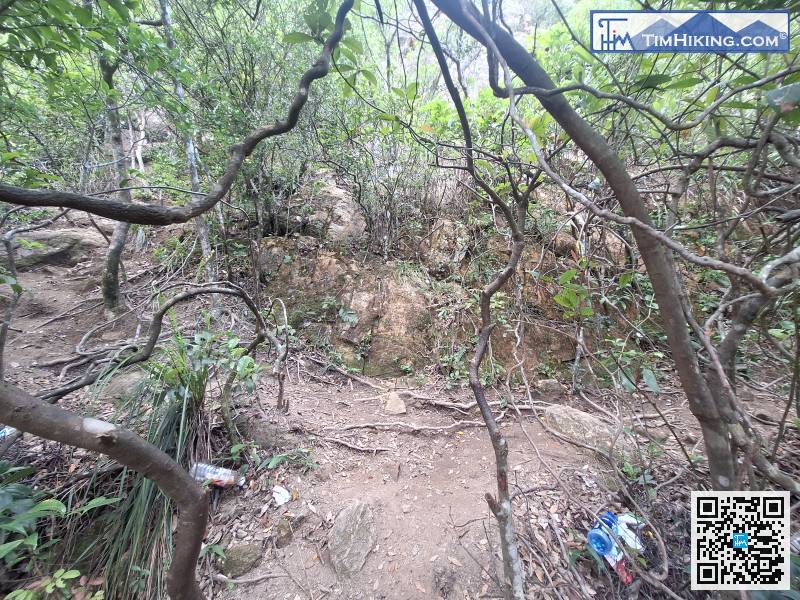 近頂處是一個分岔路口，左轉是攀爬路線，