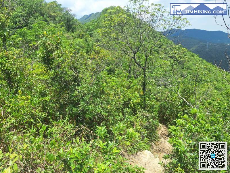 小休片刻過後，繼續向前行，