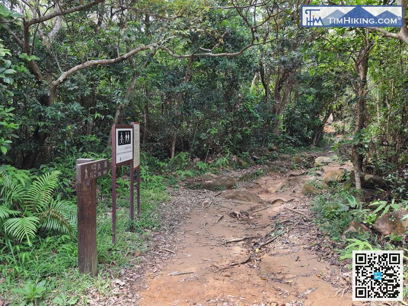 全條都是官方徑，所以路牌是非常清晰的。