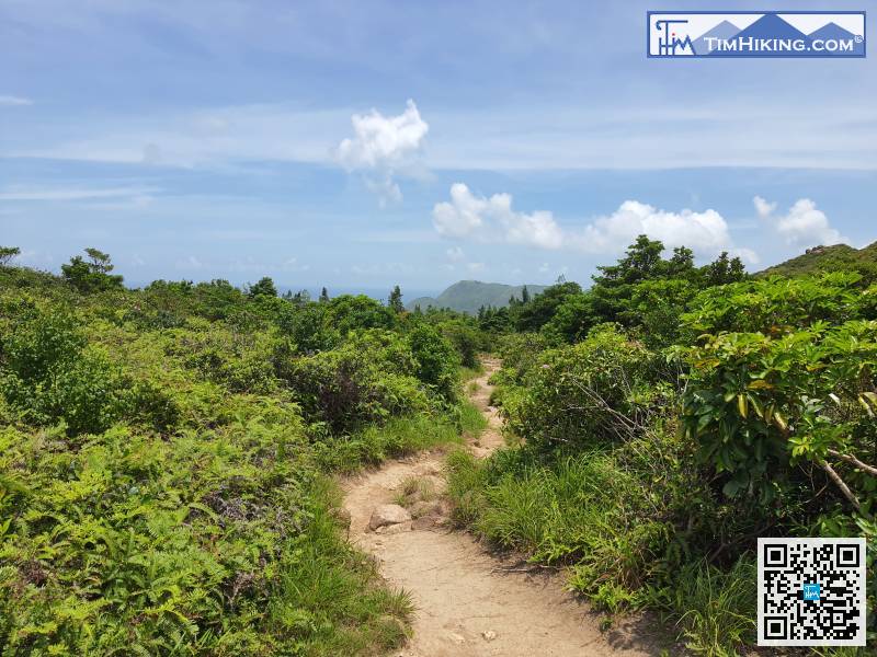 沿郊遊徑繼續行，慢慢走到天涯海角，