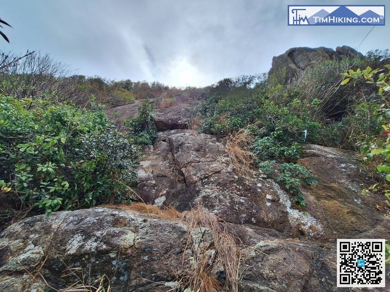 當爬到去大崖壁底，千萬不要向上爬，