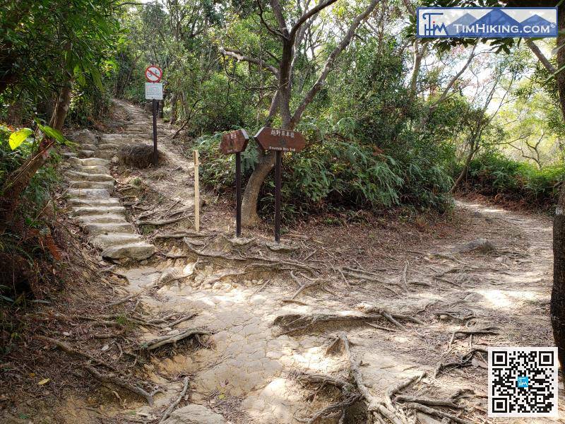 部份山徑與越野單車徑重疊，部份則分開，
