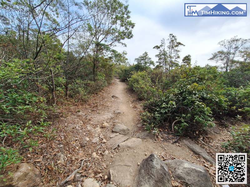 尾段都是釣魚翁郊徑，