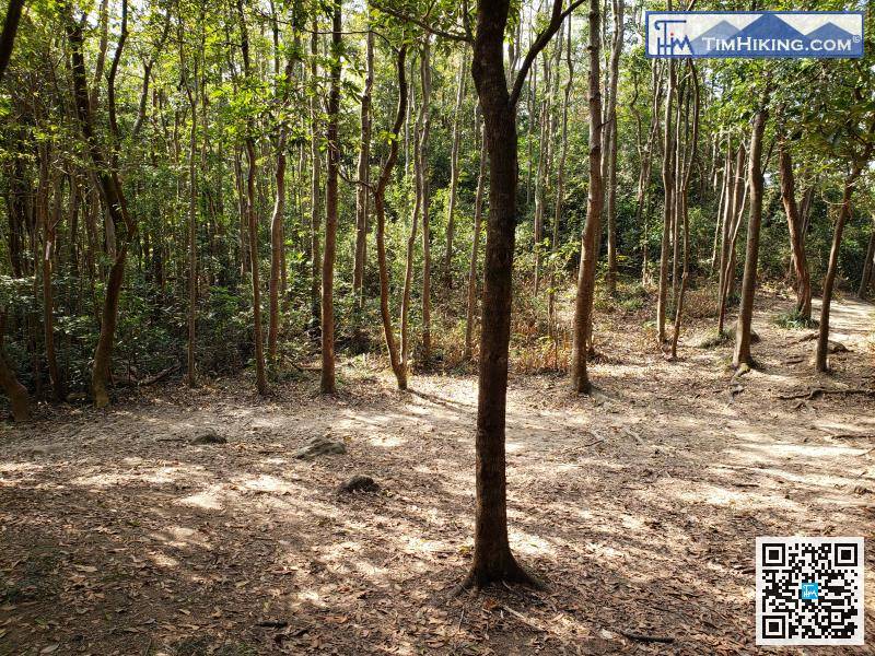 落山前往大廟的方向繼續行，